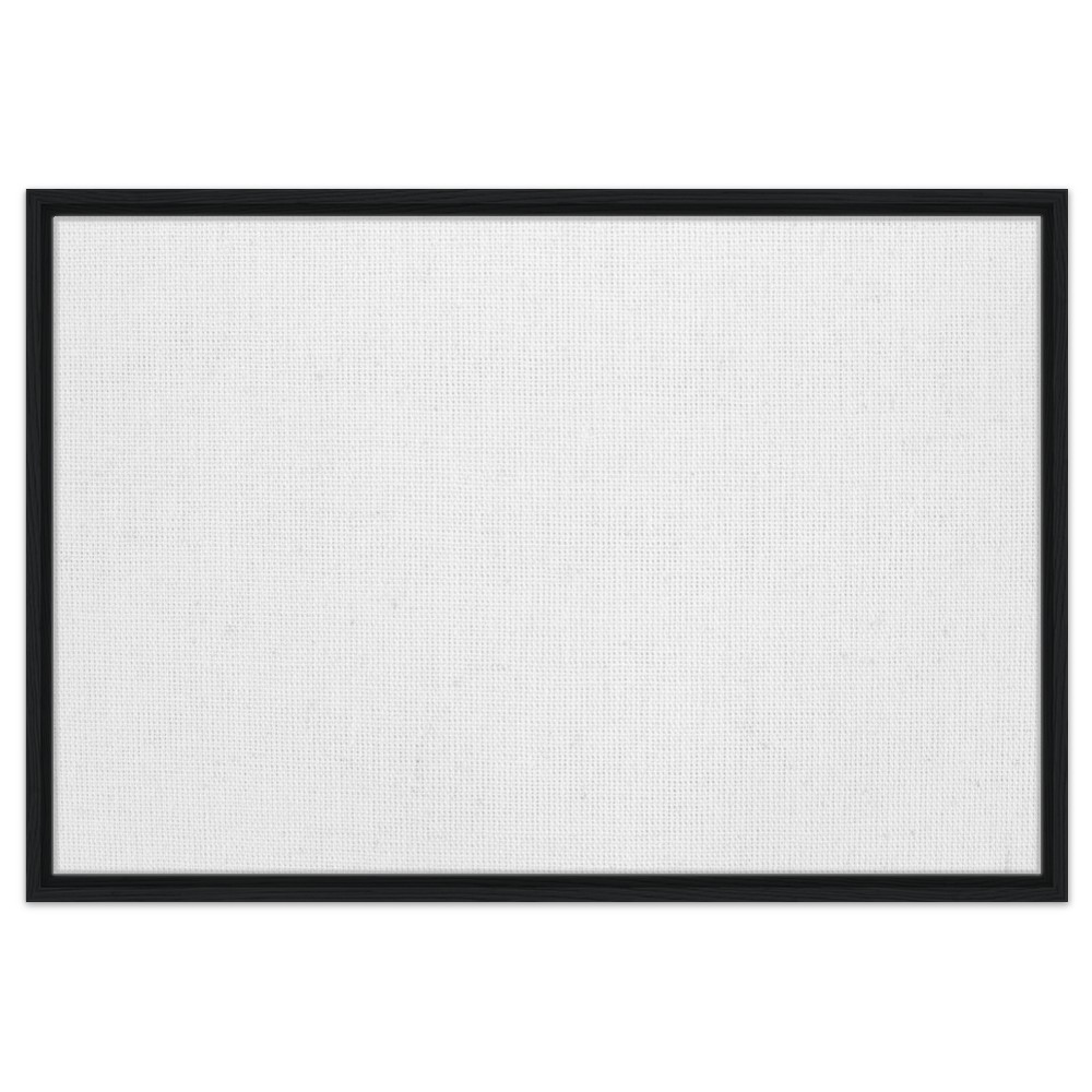 Framed Canvas